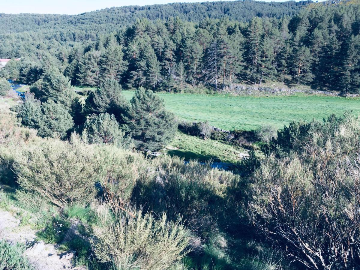 Artesano I Y III Pensionat Navarredonda de Gredos Exteriör bild